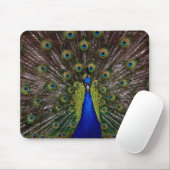 Tapis De Souris Prouve Peacock mousepad (Avec souris)