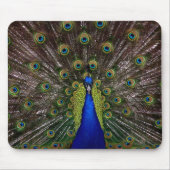Tapis De Souris Prouve Peacock mousepad (Devant)