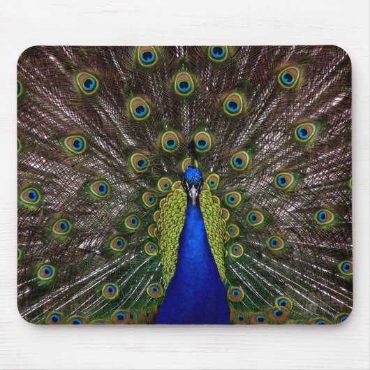 Tapis De Souris Prouve Peacock mousepad (Devant)