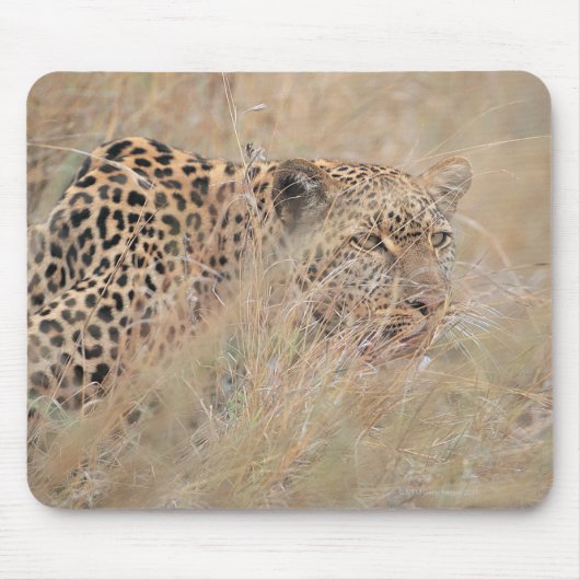 Tapis De Souris Prowling Leopard se cacher dans les Prairies (Devant)