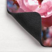 Tapis De Souris Prune fleurissante (Coin)