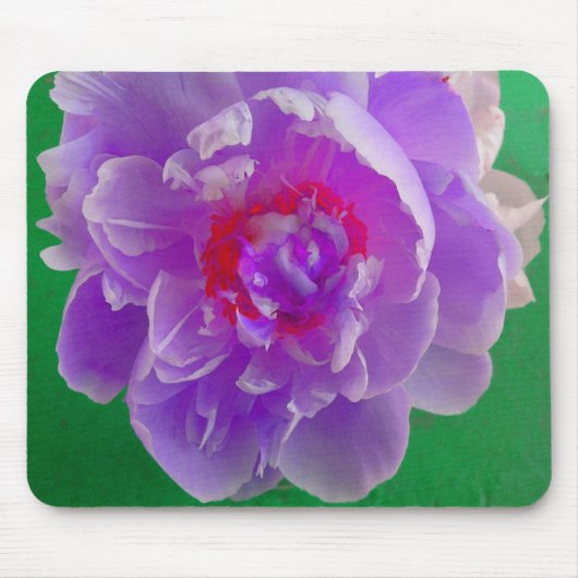 Tapis De Souris Pseudo-souris Peony pourpre (Devant)