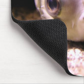 Tapis De Souris Pufferfish du Blowfish de Helaine (Coin)