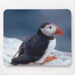 Tapis De Souris Puffin