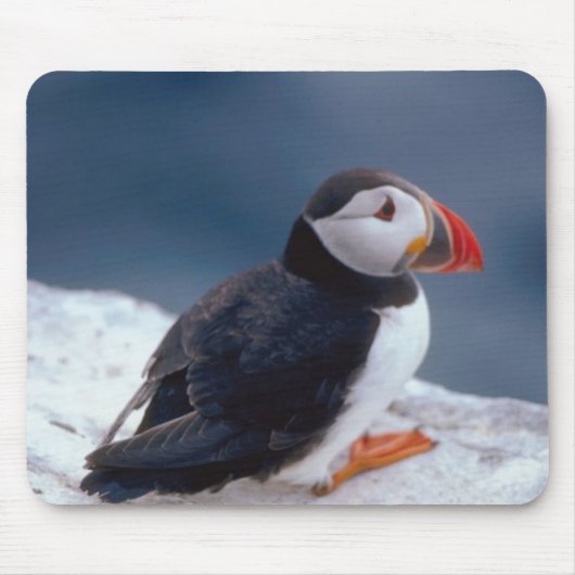 Tapis De Souris Puffin (Devant)