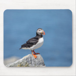 Tapis De Souris Puffin Atlantique en Machias, Maine
