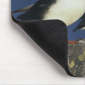 Tapis De Souris Puffin de l'Atlantique (Coin)