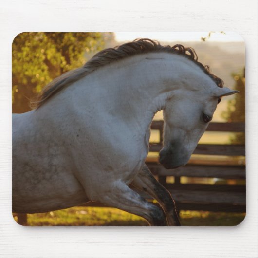 Tapis De Souris Puissance d'une jument andalouse (Devant)