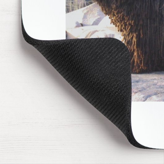 Tapis De Souris Puli (Coin)
