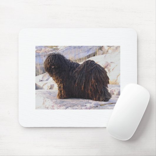 Tapis De Souris Puli (Avec souris)