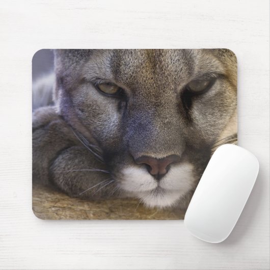 Tapis De Souris Puma (Avec souris)