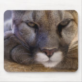 Tapis De Souris Puma (Devant)
