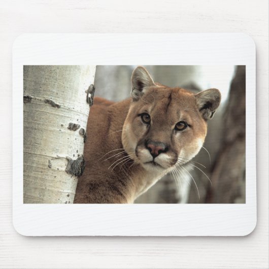 Tapis De Souris Puma frappant une pose (Devant)