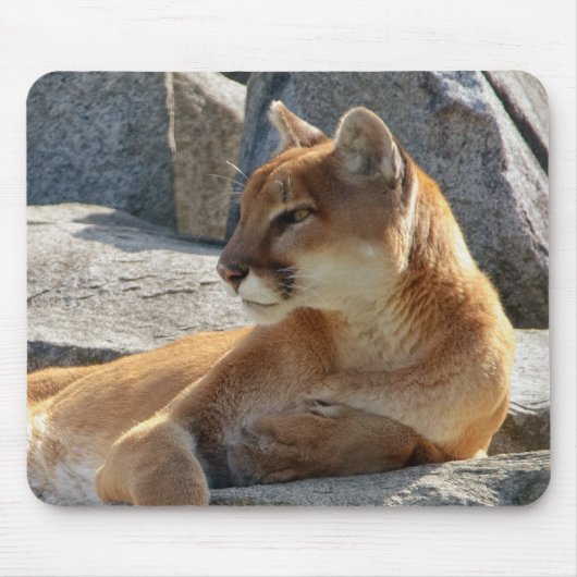 Tapis De Souris Puma Mousepad (Devant)