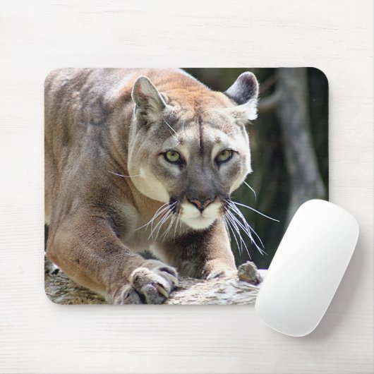Tapis De Souris Puma sauvage (Avec souris)