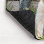 Tapis De Souris Pup 'N Boots (Coin)