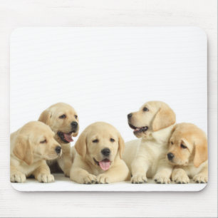 Tapis De Souris Pupin doré du Labrador