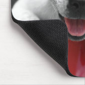 Tapis De Souris Puppe (Coin)