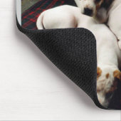 Tapis De Souris puppies1 (Coin)