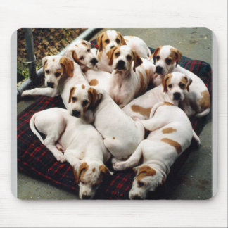 Tapis De Souris puppies1