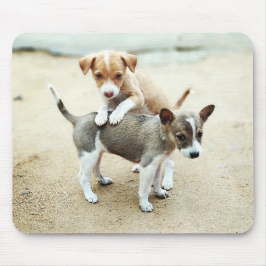 Tapis De Souris Puppies mignonnes jouer sur la plage (Devant)