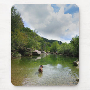 Tapis De Souris Puppy Exploration Barton Creek - Austin Texas