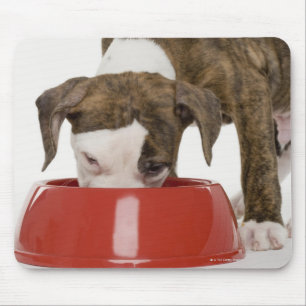Tapis De Souris Puppy pitbull manger dans le plat
