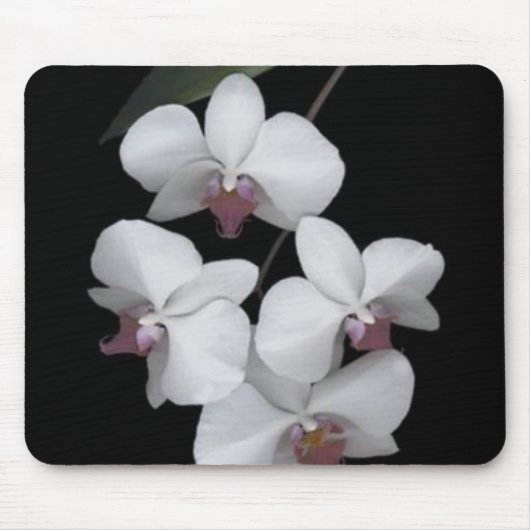 Tapis De Souris Pur (Devant)