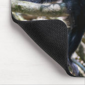 Tapis De Souris Pura vida pour singe capucin à tête blanche (Coin)