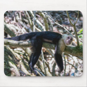 Tapis De Souris Pura vida pour singe capucin à tête blanche