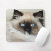 Tapis De Souris Purebred Birman Fluffy Cat Mousepad (Avec souris)