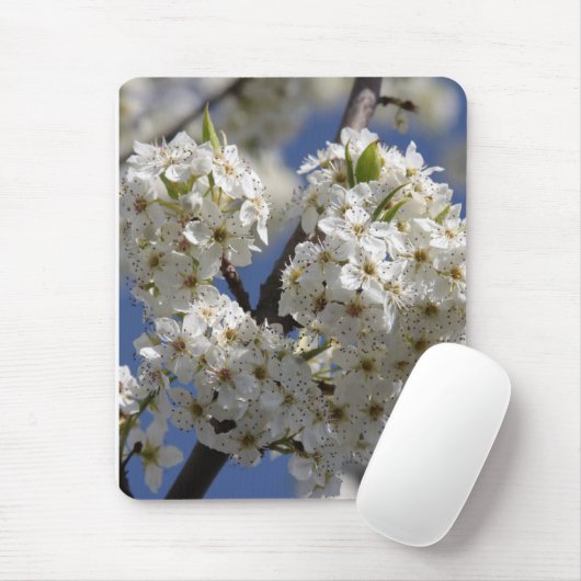 Tapis De Souris Pureté (Avec souris)