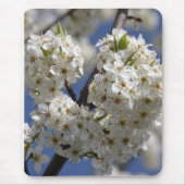 Tapis De Souris Pureté (Devant)