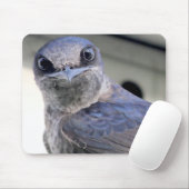 Tapis De Souris Purple (Avec souris)