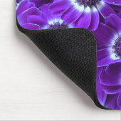 Tapis De Souris Purple cineraria (Coin)