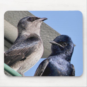 Tapis De Souris Purple Martin Pair
