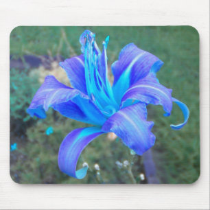 Tapis De Souris Purple N Turquoise Daylily Mousepad