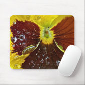 TAPIS DE SOURIS PW42 (Avec souris)