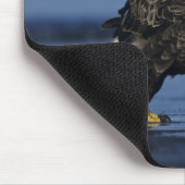 Tapis De Souris Pygargue à tête blanche (Coin)