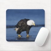Tapis De Souris Pygargue à tête blanche (Avec souris)