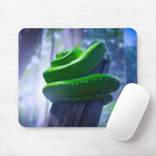 Tapis De Souris Python à arbre vert (A) (Avec souris)