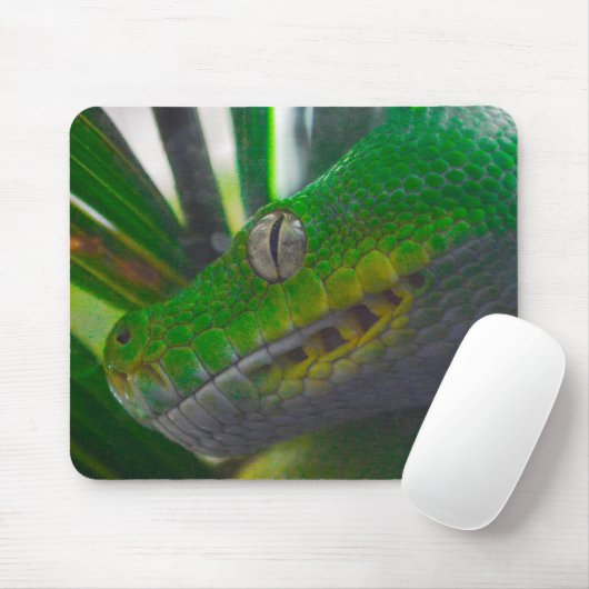 Tapis De Souris Python à arbre vert (B) (Avec souris)