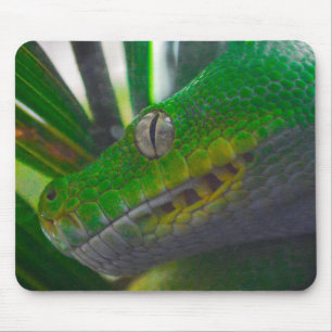 Tapis De Souris Python à arbre vert (B)