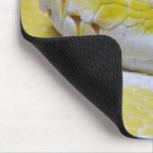 Tapis De Souris Python birman (Coin)