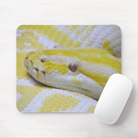 Tapis De Souris Python birman (Avec souris)