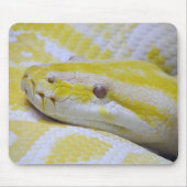 Tapis De Souris Python birman (Devant)
