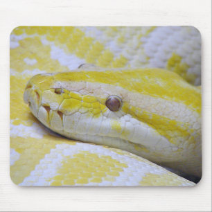 Tapis De Souris Python birman