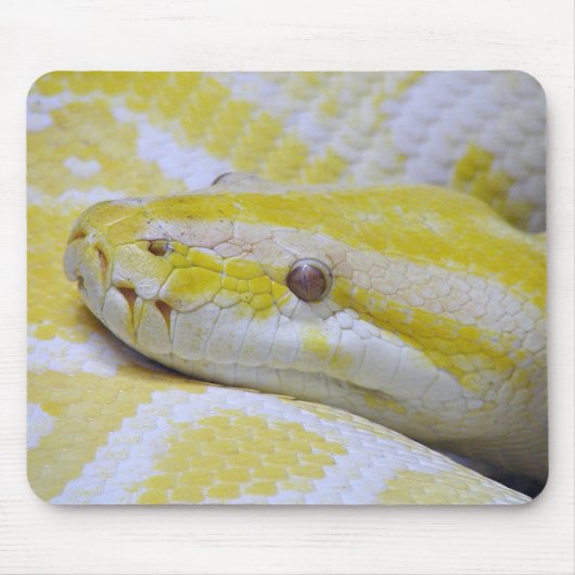 Tapis De Souris Python birman (Devant)
