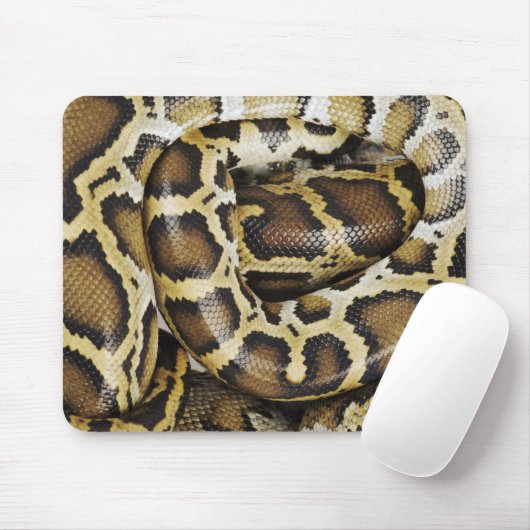 Tapis De Souris Python birman (Avec souris)