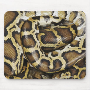 Tapis De Souris Python birman